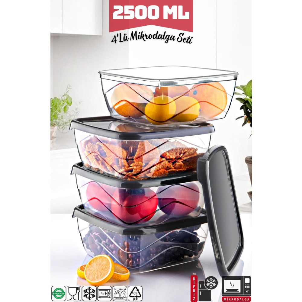 Nandy Home Kare Saklama Kabı Seti Mikrodalga/Difriz Kullanımına Uygun 4 Adet 2500 Ml Saklama Kapları Fiyatı