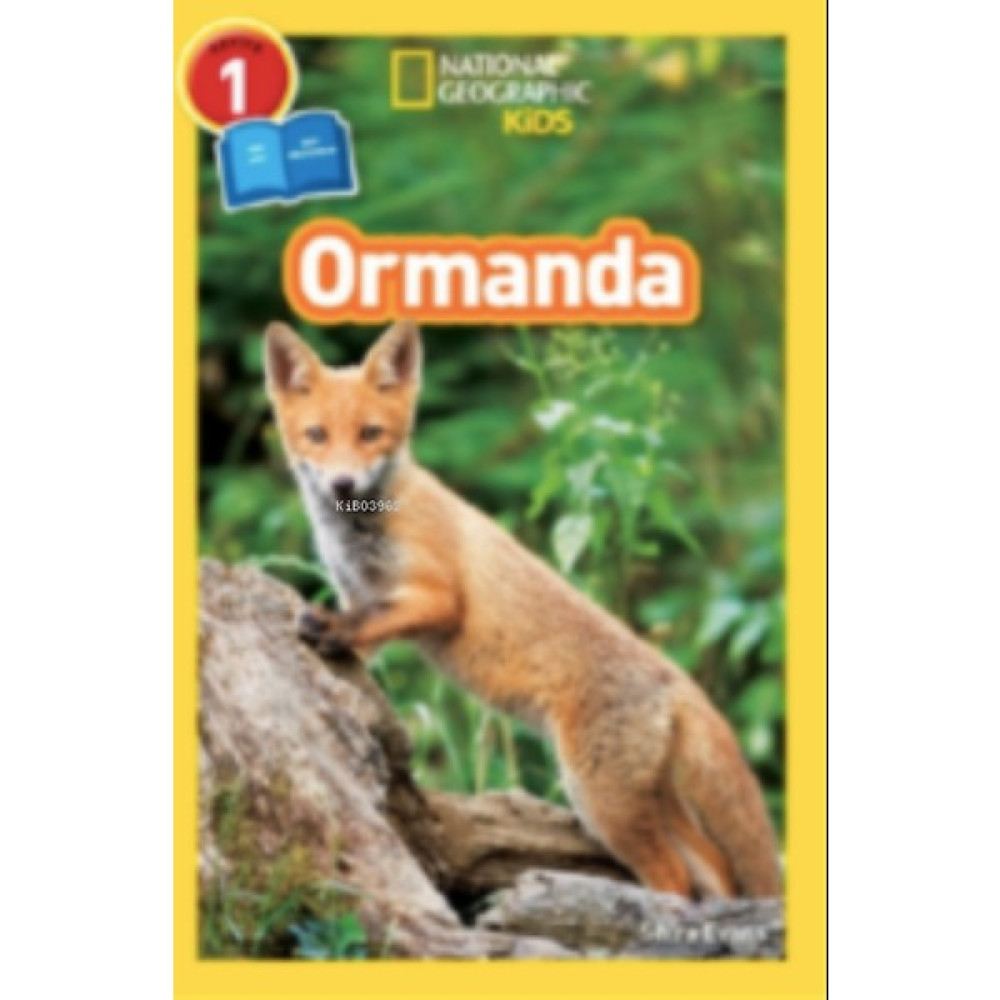National Geographic Kids - Ormanda - Seviye 1 - Shira Evans Zihinsel Gelişim Kitapları Fiyatı