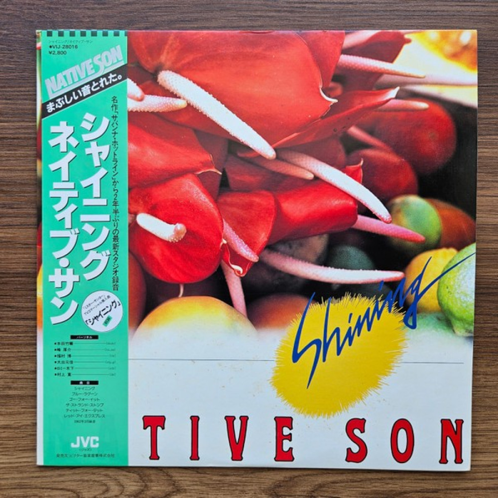 Native Son – Shining Oto Boyaları Fiyatı