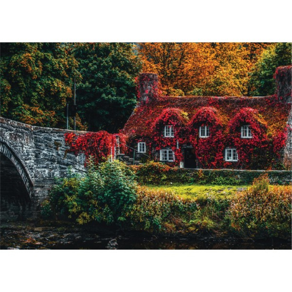 Natura Puzzle Kırmızı Ev 1000 Parça Lisa Fotios Puzzle & Aksesuarları Fiyatı