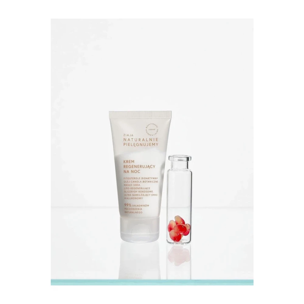 Natural Care Canlandirici Gece Kremi 50Ml Gece Kremleri Fiyatı