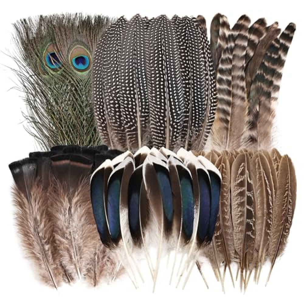 Natural Feathers Bulk - 55PCS - 6 Styles Assorted Natural Feathers, Peacock Feathers, Pheasant Feathers, Turkey Feathers for DIY Crafts, Wedding, Crafting Supplies