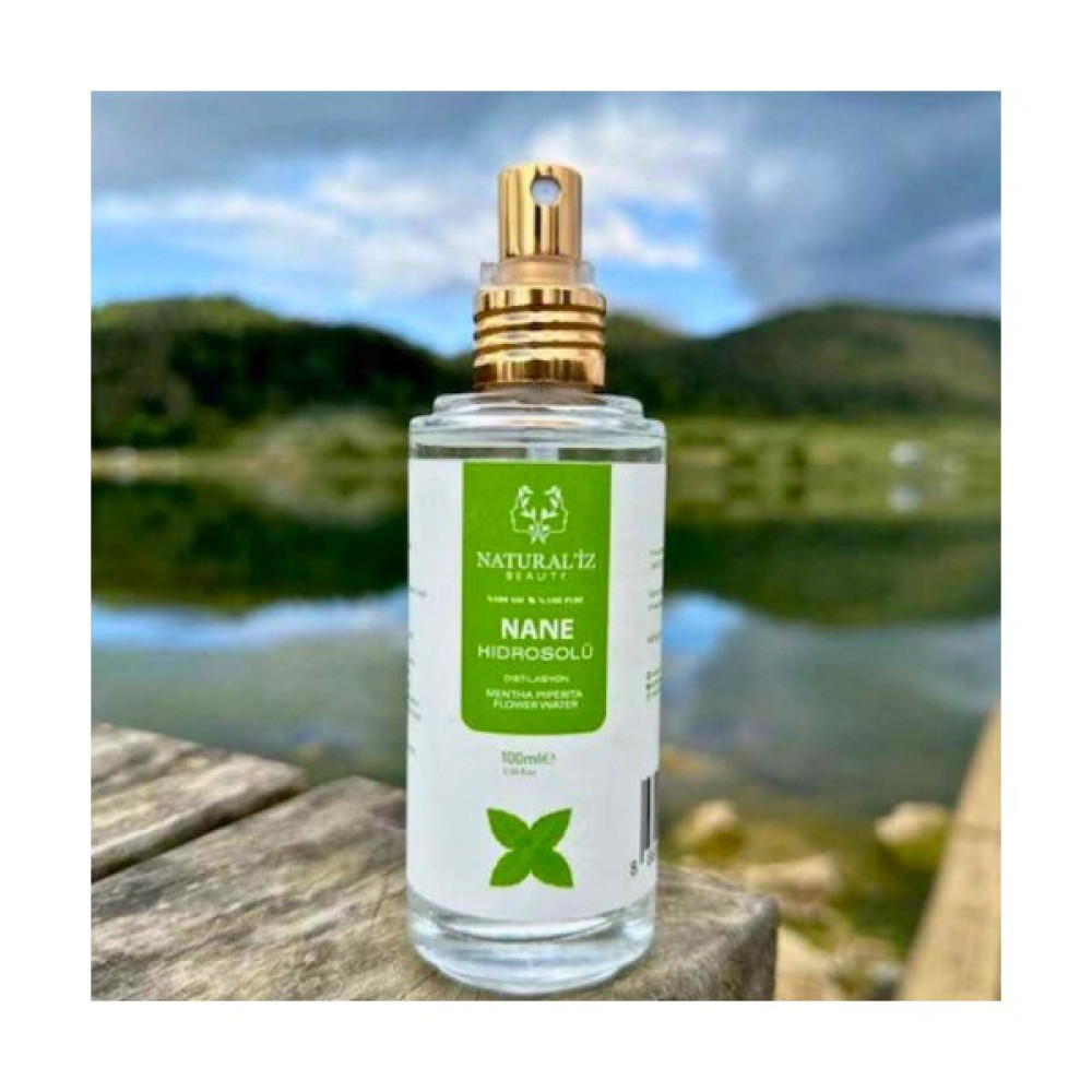 Naturaliz Beauty Nane Hidrosolü Oto Boyaları Fiyatı