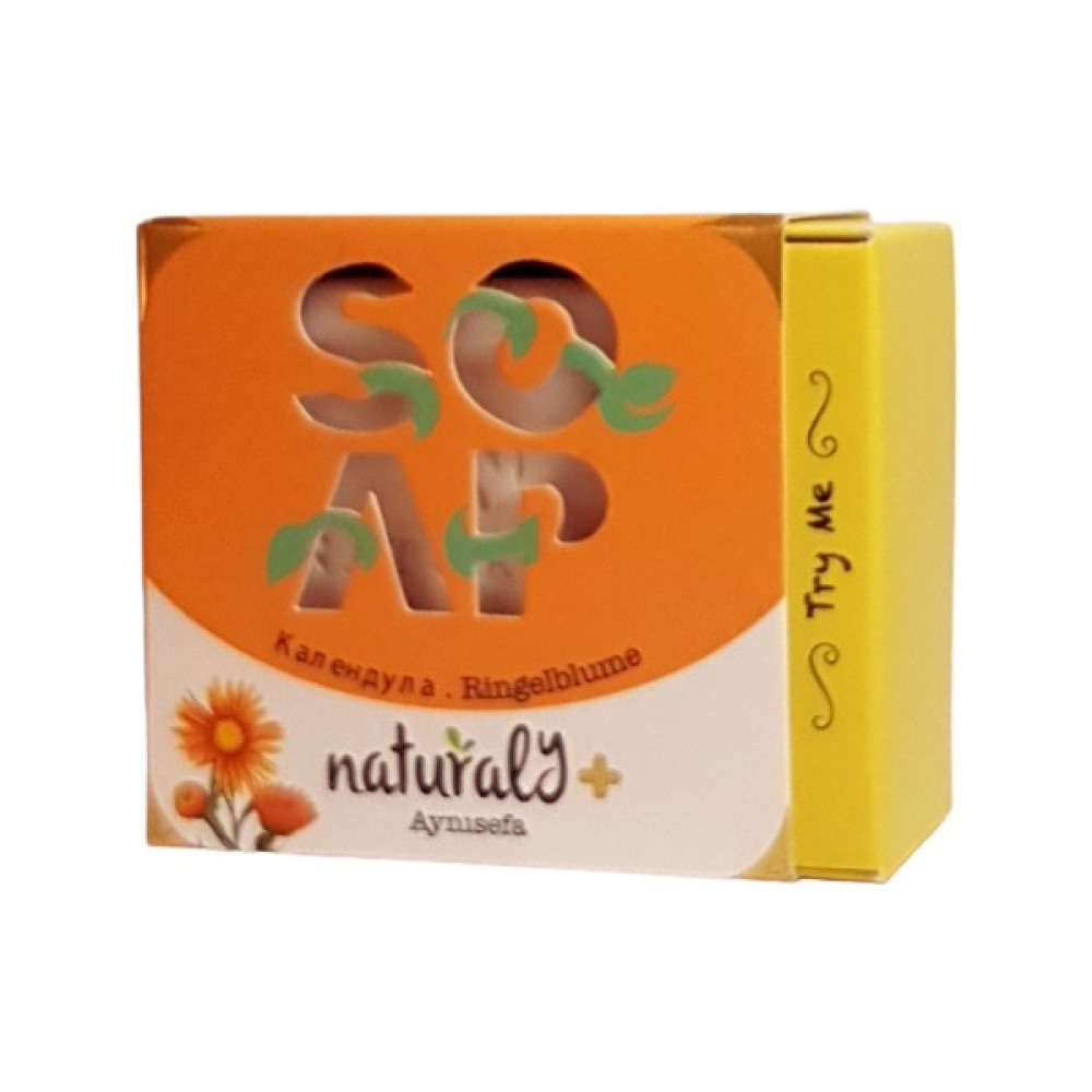 Naturaly Aynısefa Sabunu 150 gr Oto Boyaları Fiyatı