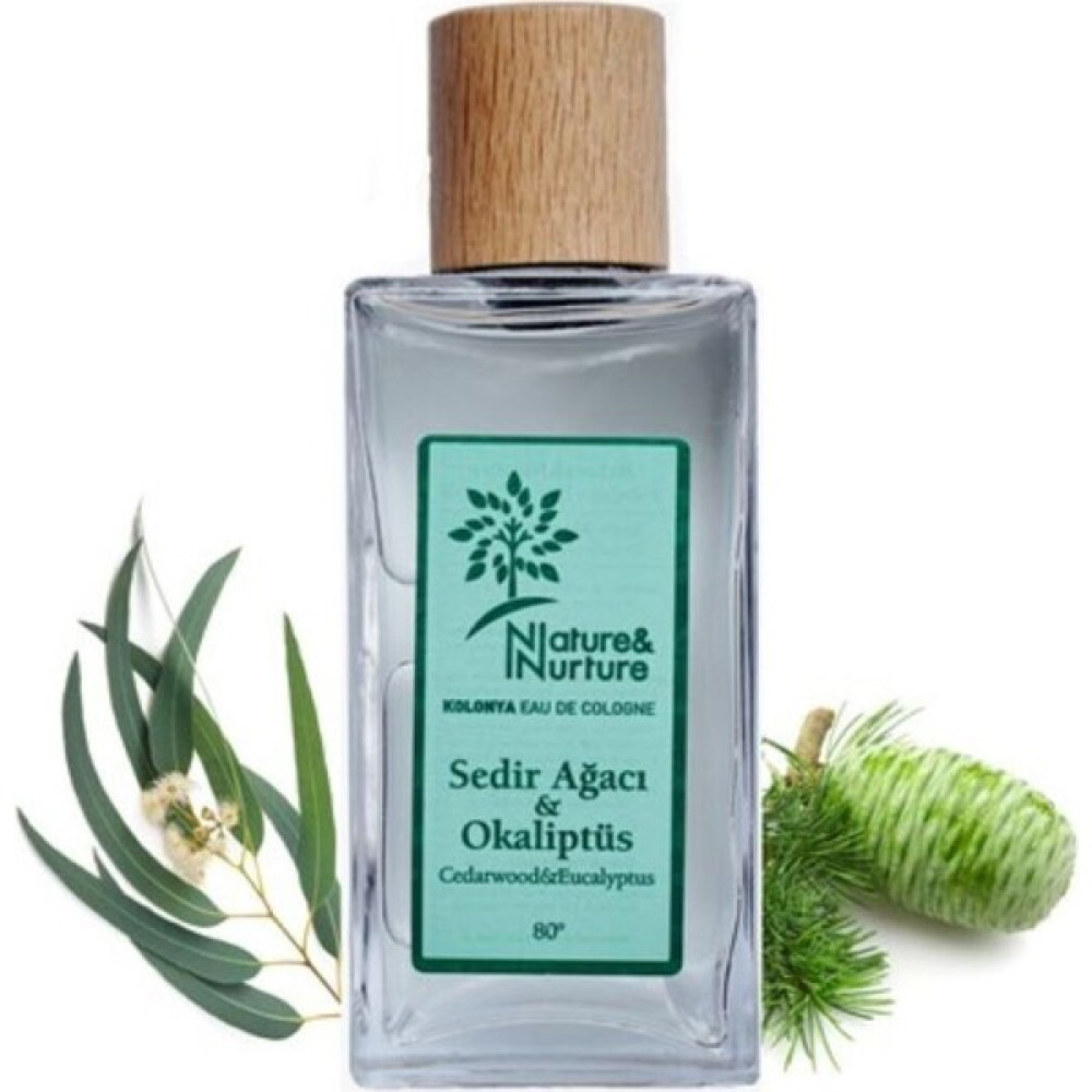 Nature & Nurture Sedir Ağacı & Okaliptüs Kolonyası 80° 190 ml Cam Şişe Oto Boyaları Fiyatı