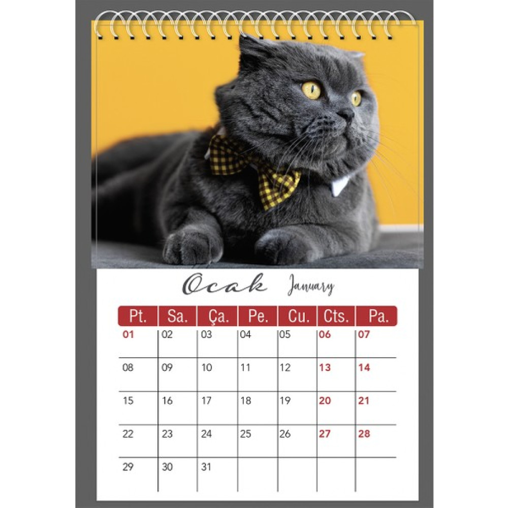Naturel Basım 2024 Duvar Takvimi Kedi -33X47 cm Takvim Fiyatı