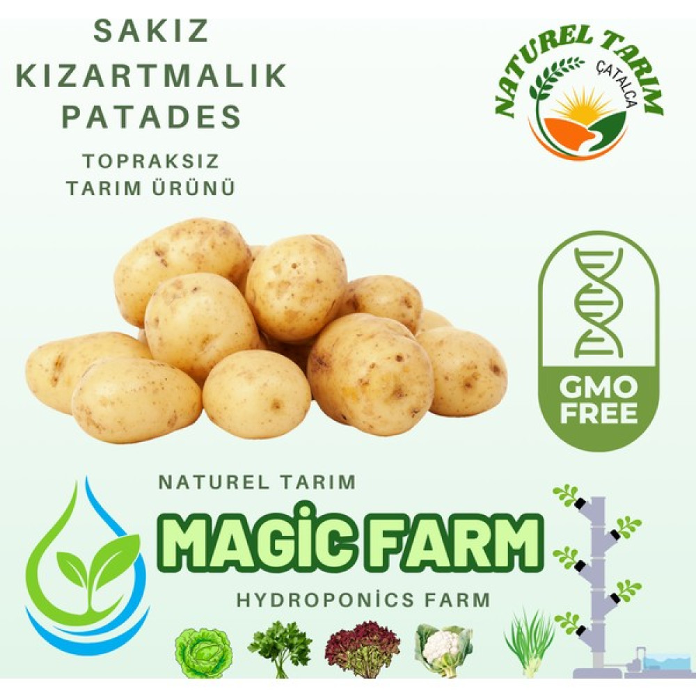Naturel Tarım Kırartmalık Sakız Patates - 2 kg Oto Boyaları Fiyatı