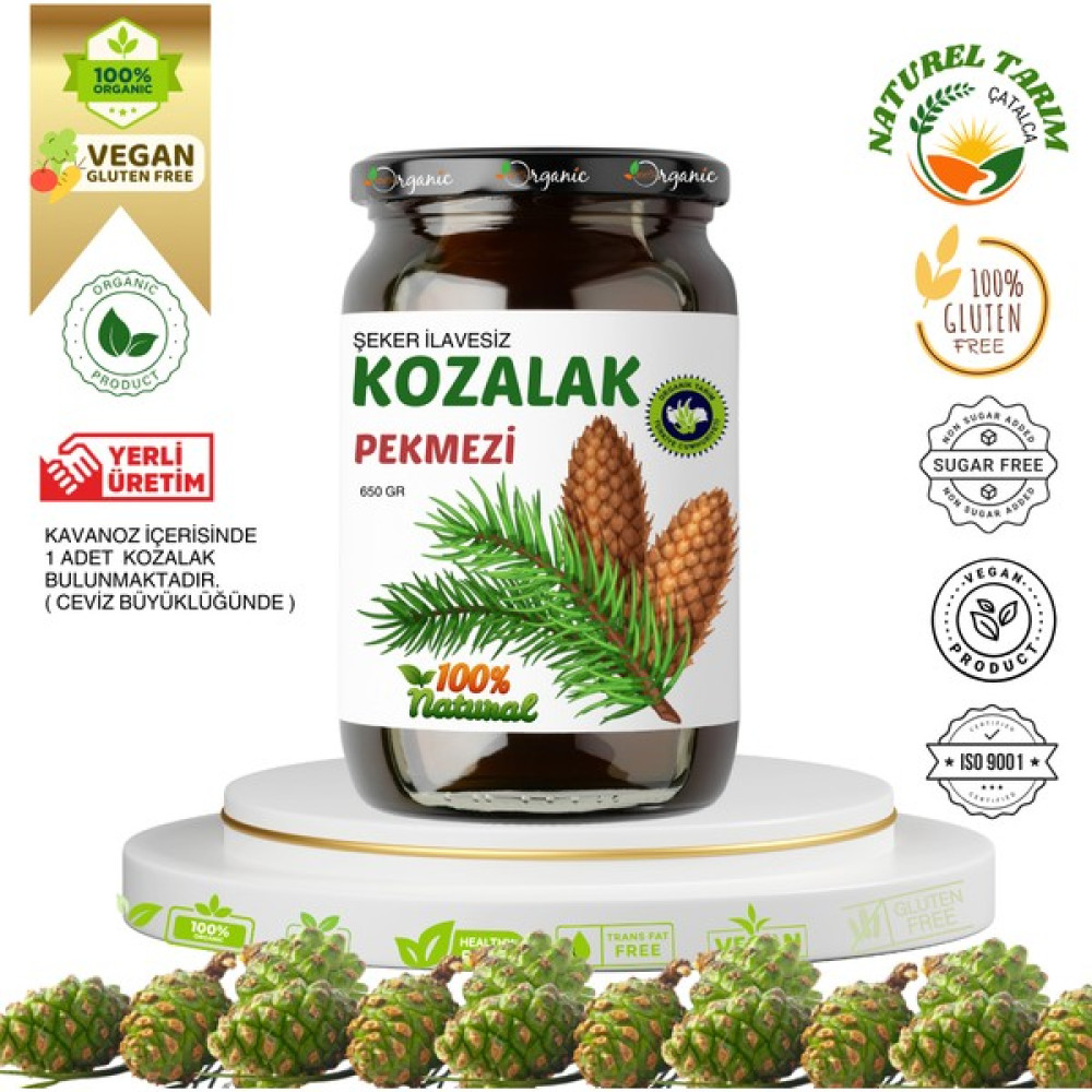 Naturel Tarım Kozalak Pekmezi ( Şeker İlavesiz ) - 650 gr Oto Boyaları Fiyatı