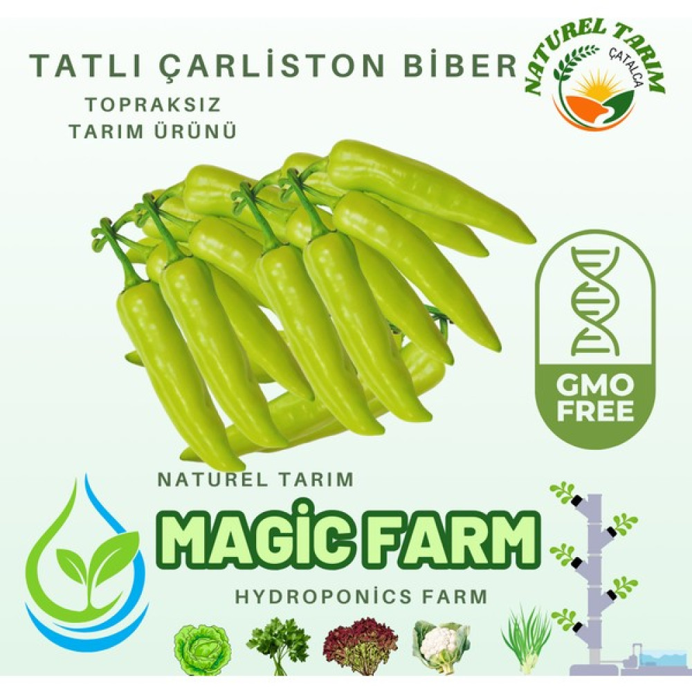 Naturel Tarım Yeşil Biber Tatlı ( Hidroponik ) - 1 kg Oto Boyaları Fiyatı