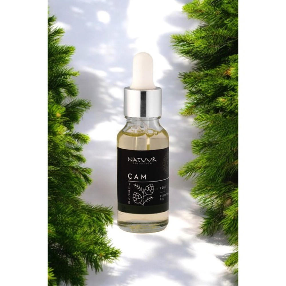 Natuur Collection 1881 Çam Esans Uçucu Yağ Doğal Yoğun Koku Buhurdanlık Difüzör Esansı 20 ml Oda Kokusu Fiyatı
