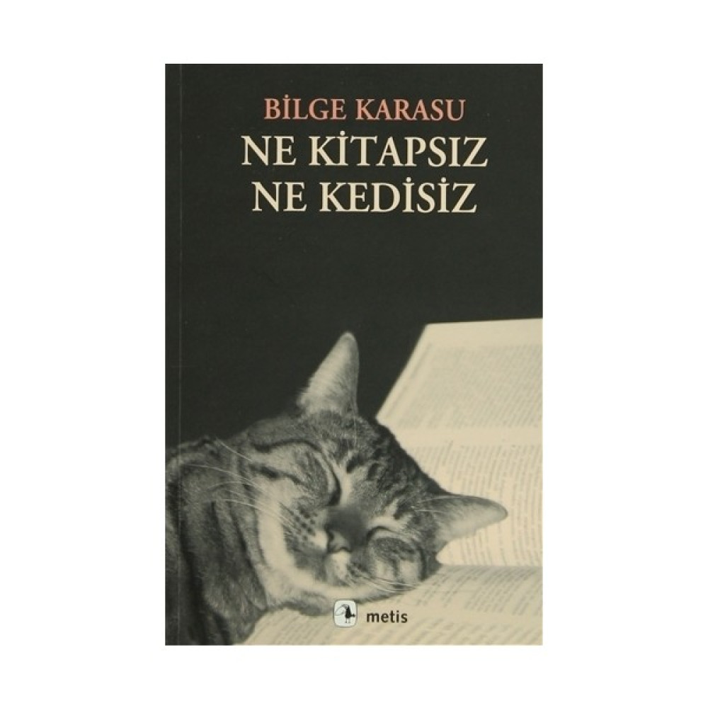 Ne Kitapsız Ne Kedisiz Deneme - İnceleme Fiyatı