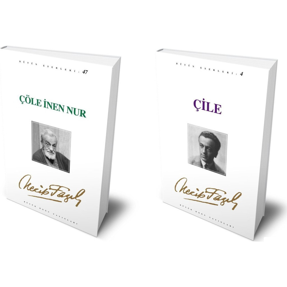 Necip Fazıl Kısakürek 2 Kitap Set (Çile - Çöle İnen Nur) Din Kitapları Fiyatı