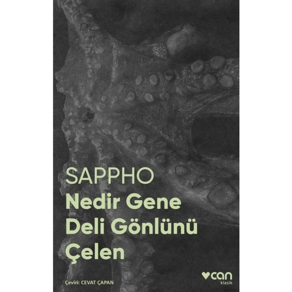 Nedir Gene Deli Gönlünü Çelen (Fotoğraflı Klasikler) - Sappho Şiir Kitapları Fiyatı