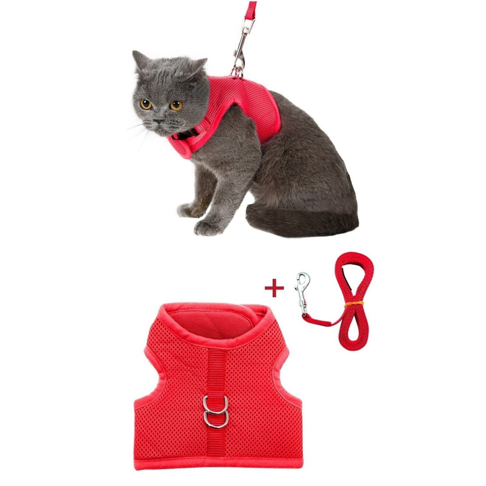 nefertiti cosmetic File Yeni Nesil Nefes Alabilen Kedi Göğüs Tasma 2li Set Kırmızı S Beden Evcil Hayvan Ürünleri Fiyatı