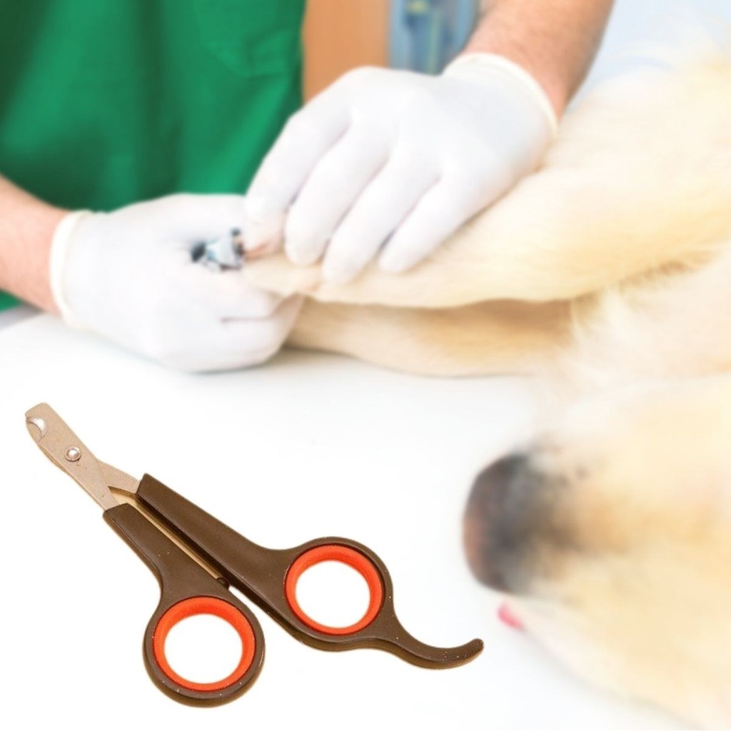 Nemere Küçük Çelik Uçlu Kedi Köpek Evcil Hayvan Tırnak Makası Pati Bakım Aleti Ergonomik Kaymaz Sa Evcil Hayvan Ürünleri Fiyatı