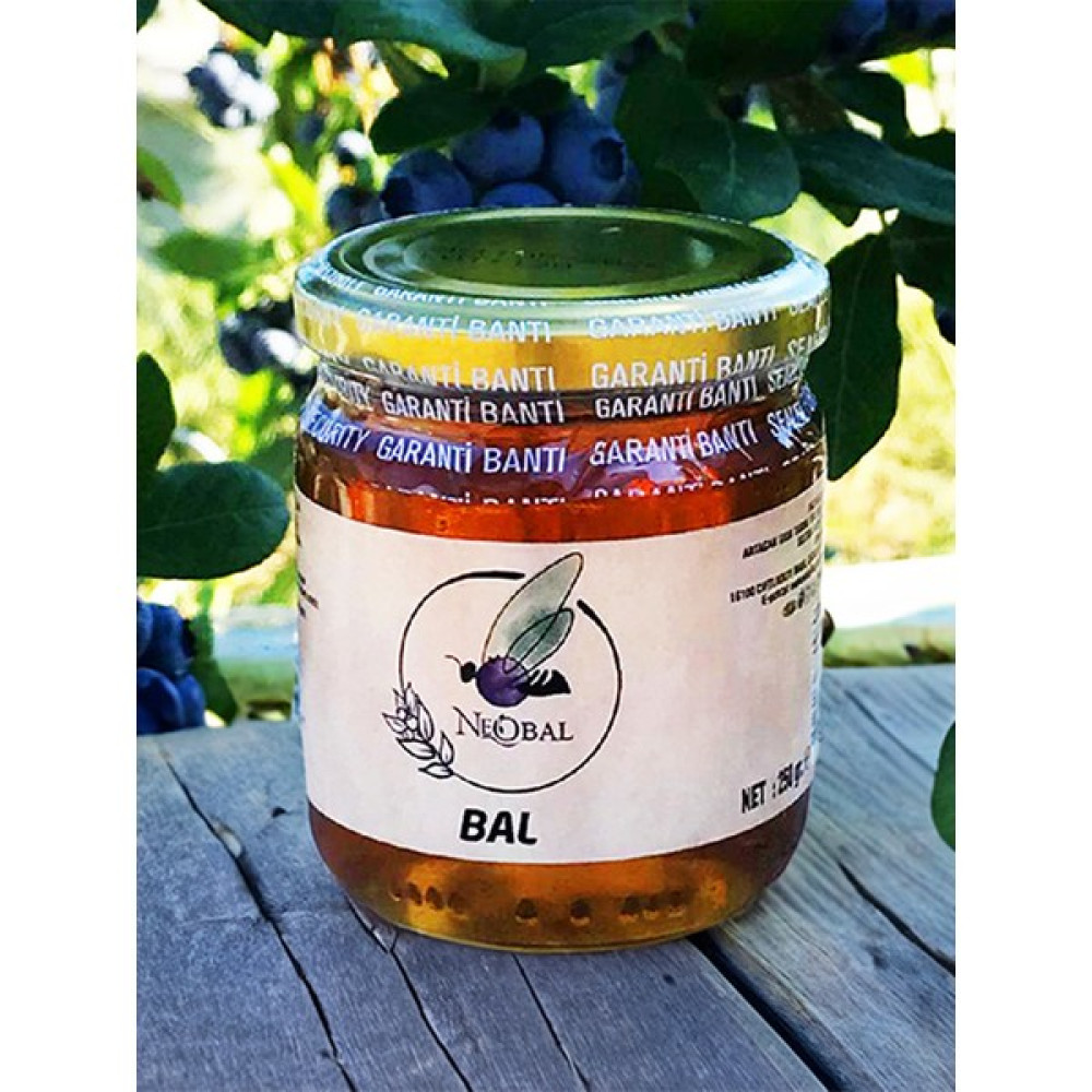 Neo Yaşam Organik Çiçek Bal 250 gr Oto Boyaları Fiyatı