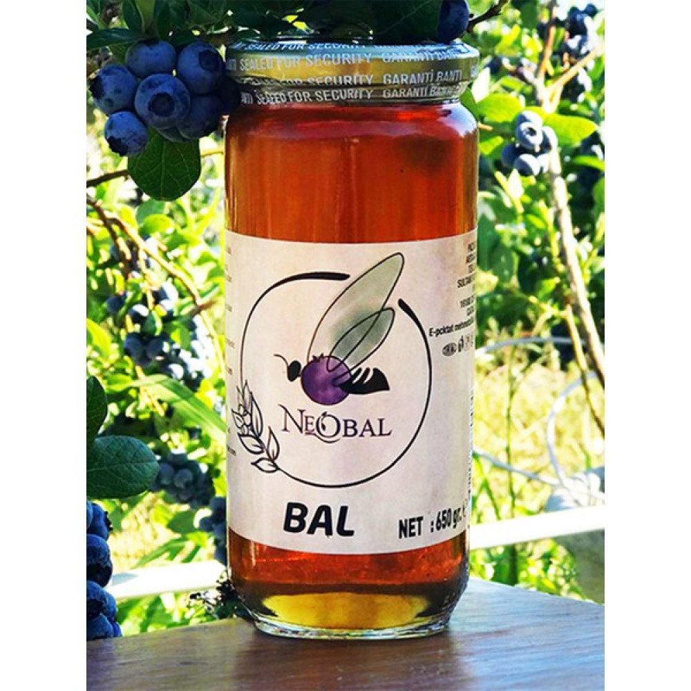 Neo Yaşam Organik Çiçek Bal 650 gr Oto Boyaları Fiyatı