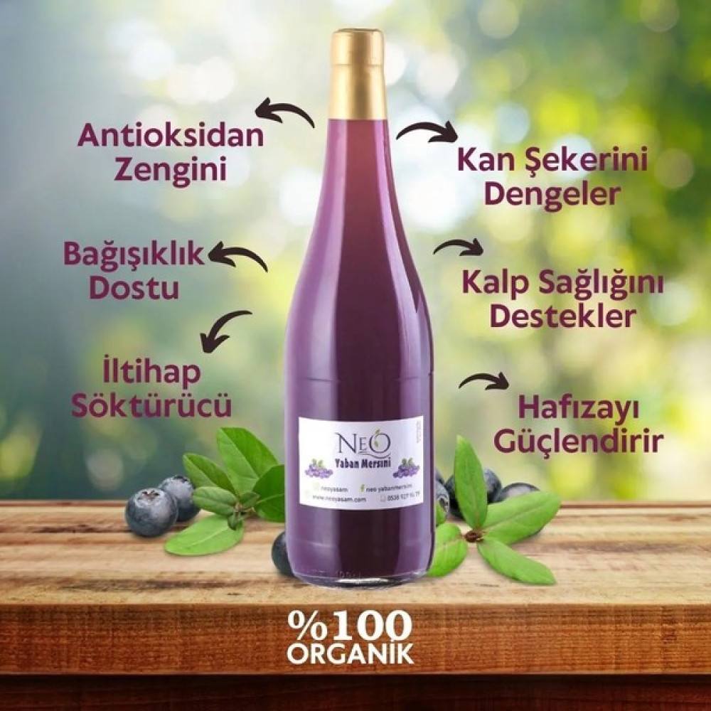 Neo Yaşam Yaban Mersini Sirkesi 1lt - 1 lt Sos Fiyatı