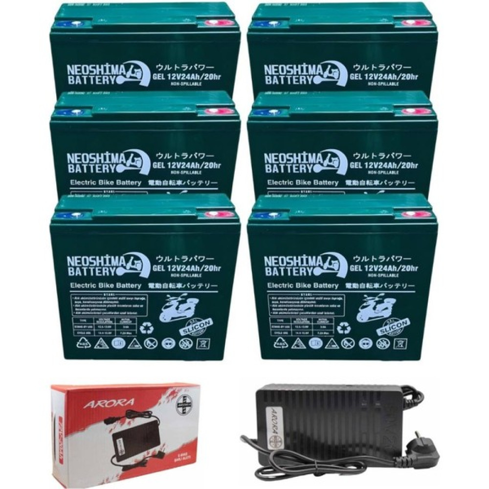 Neoshima 12V 24AH 6'li Elektrikli Bisiklet Aküsü ve Arora 72V 20-24 Şarj Cihazı Seti Akü Fiyatı