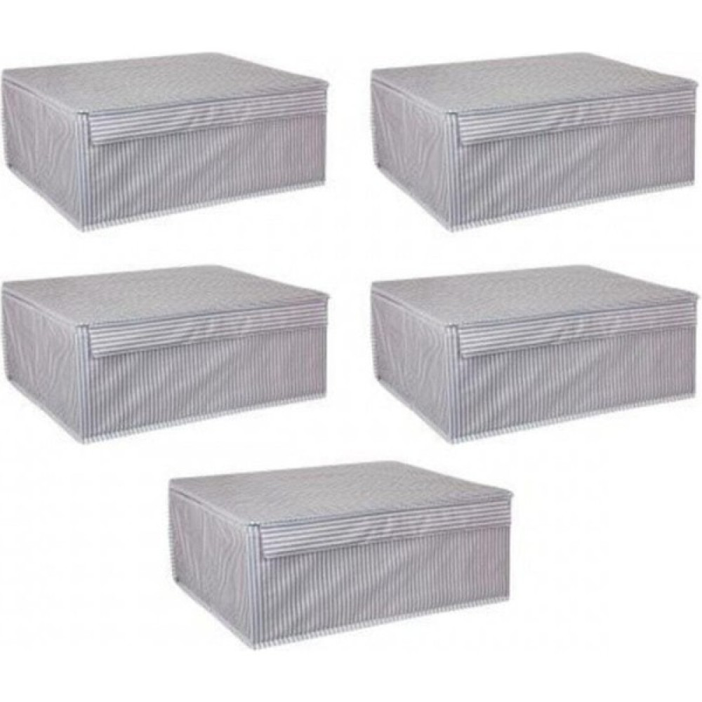 Neptün Life 5 Adet - Kapaklı Çok Amaçlı Çamaşır-Saklama-Düzenleme Vb Hurç, Kutu - 50 x 40 x 19 - Baza K Hurç Fiyatı