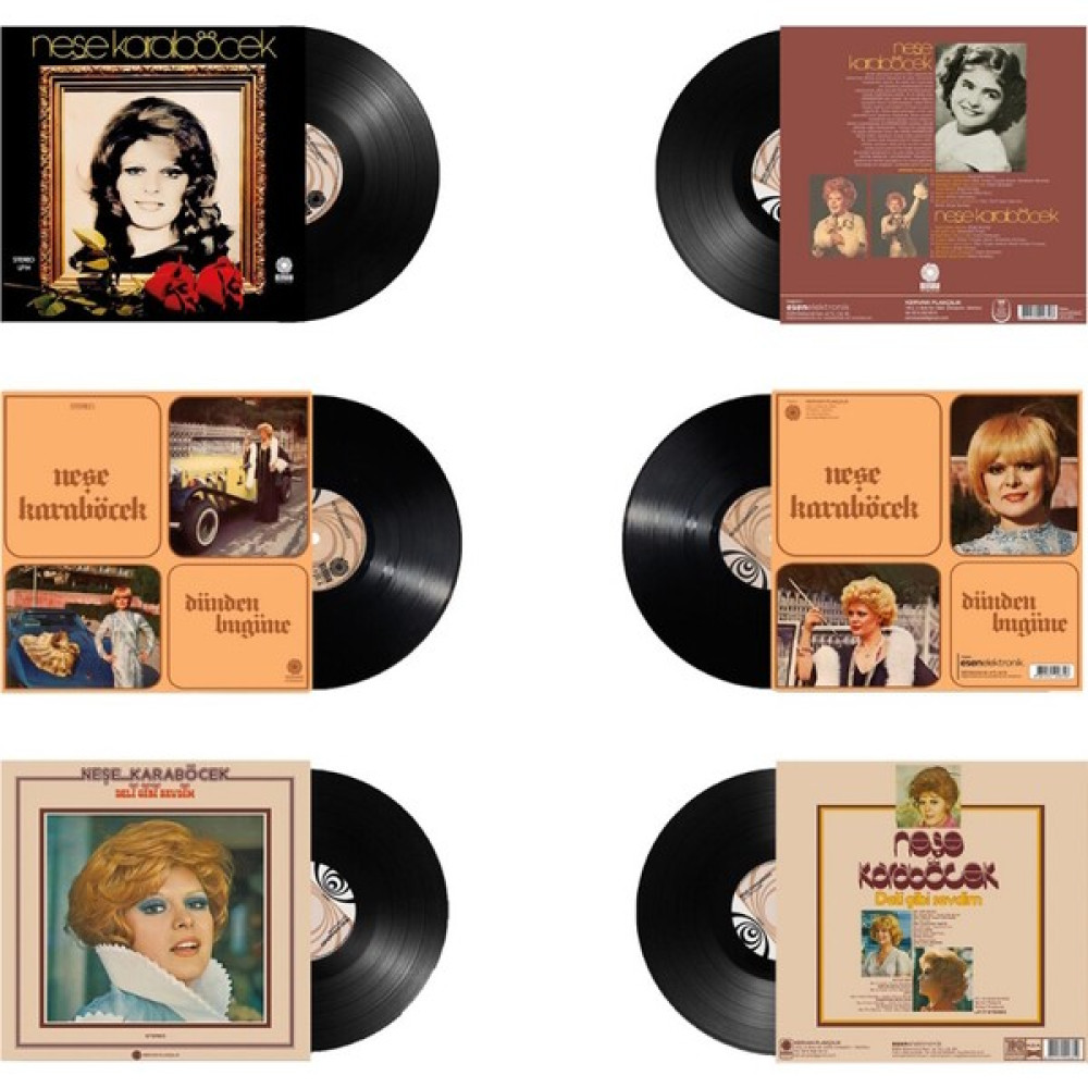 Neşe Karaböcek - Özel Set (3 Plak) Pikap & Aksesuarları Fiyatı