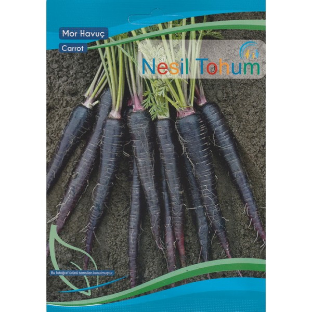 Nesil Mor Havuç Tohumu 5 gr Oto Boyaları Fiyatı