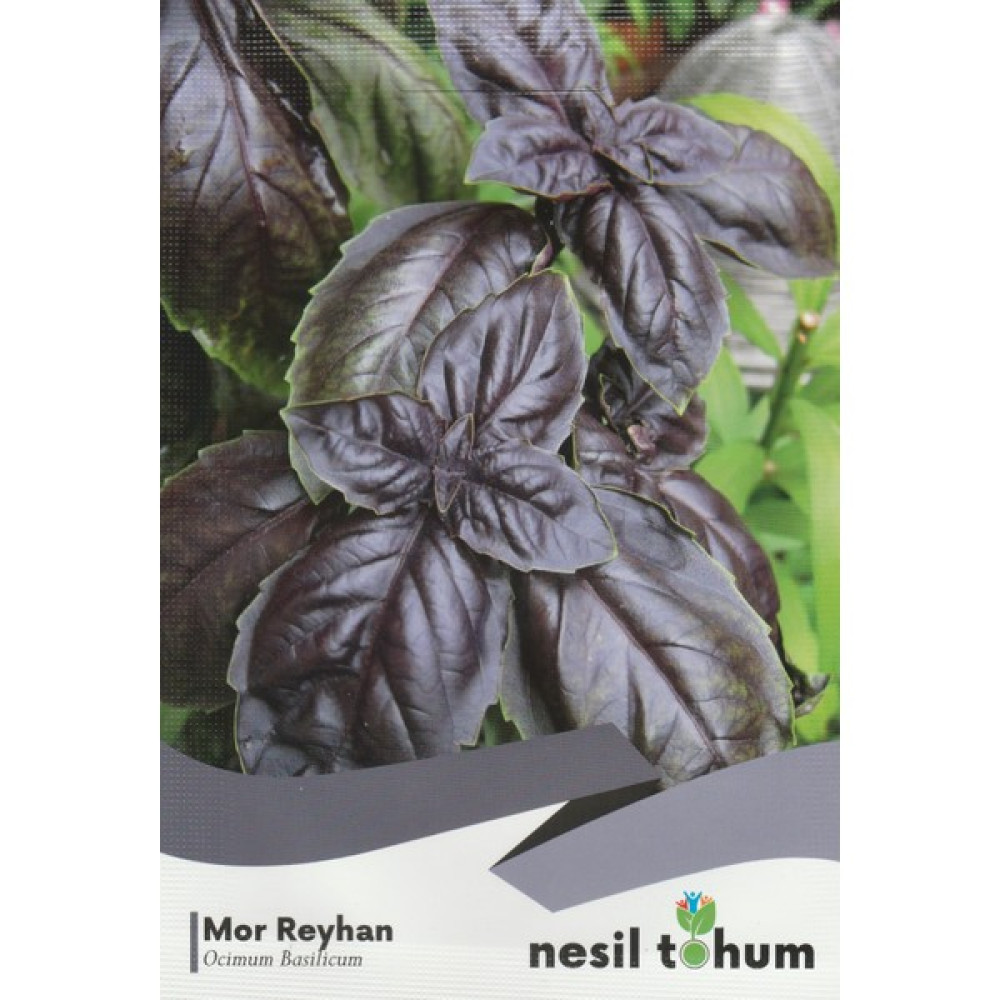 Nesil Mor Reyhan Tohumu (100 Adet) - 100 Adet Tohum Fiyatı