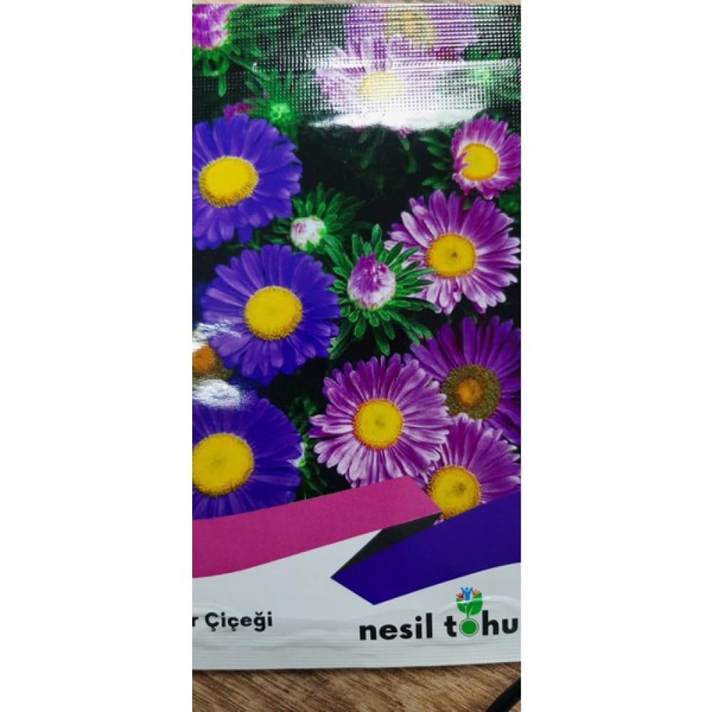 Nesil Tohum Aster Çiçeği Tohumj - 1 gr Tohum Fiyatı