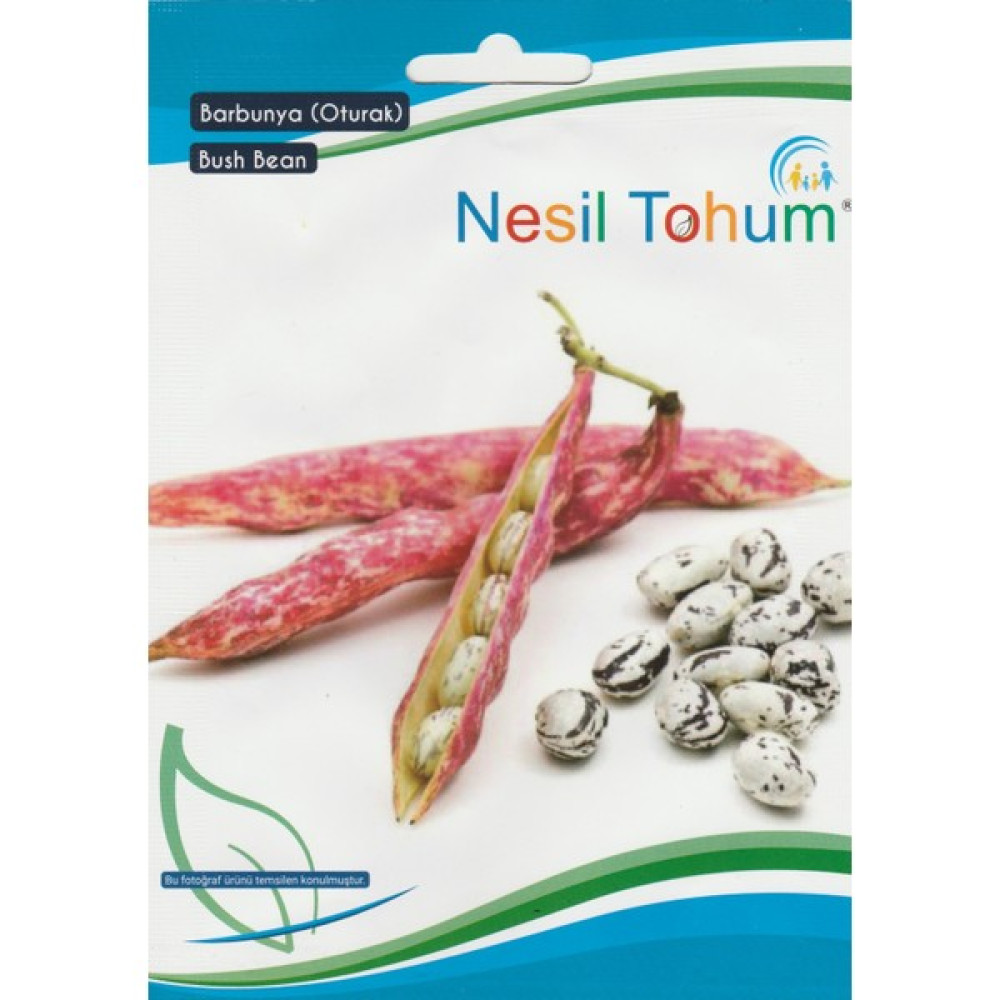 Nesil Tohum - Barbunya Tohumu (Oturak) 25 Gram - 25 gr Oto Boyaları Fiyatı