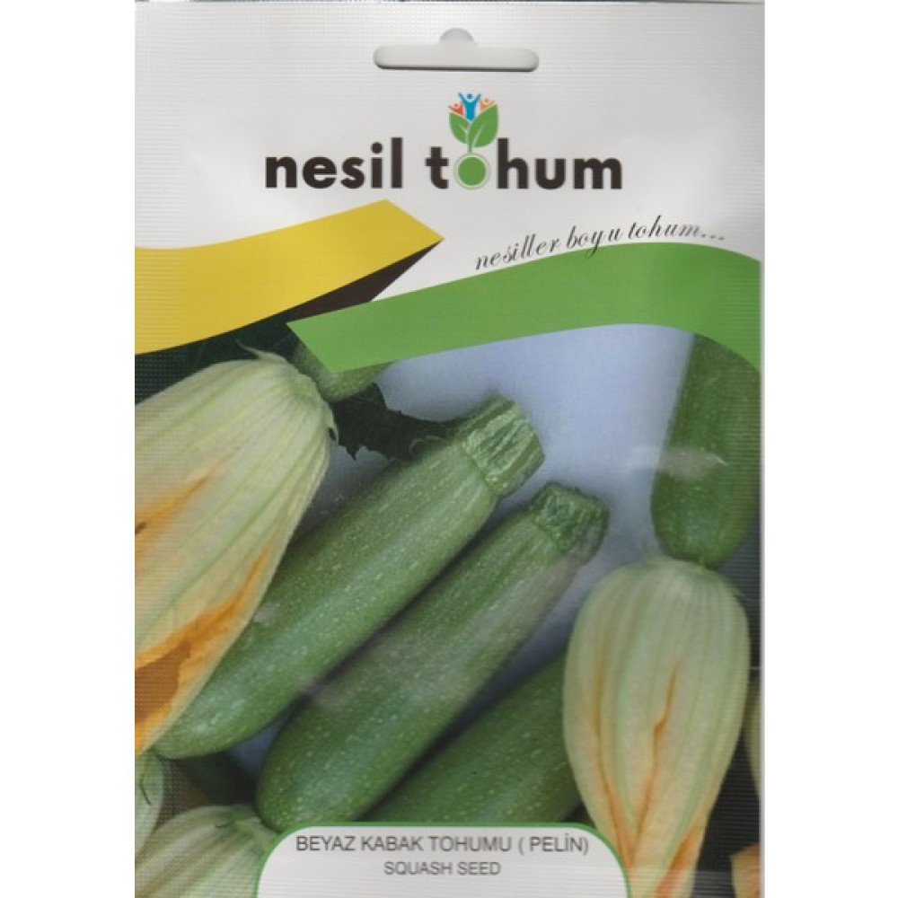 Nesil Tohum - Beyaz Kabak Tohumu (Pelin) 10 Gram - 10 gr Oto Boyaları Fiyatı