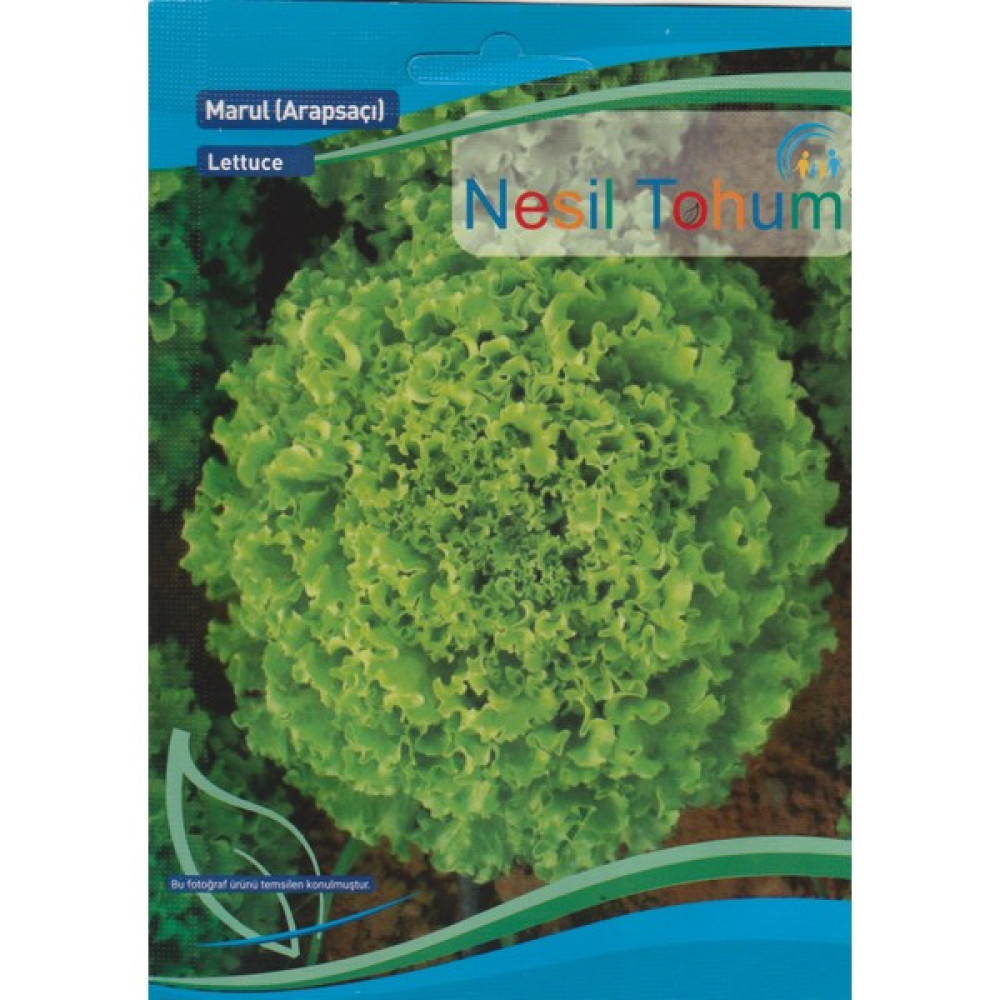 Nesil Tohum - Kıvırcık Marul Tohumu (Arapsaçı) 5 Gram - 5 gr Tohum Fiyatı