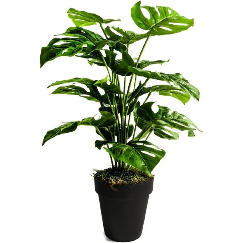Nettenevime Yapay Ağaç Salon Bitkisi Monstera 70 cm 18 Yaprak Antrasit Saksıda Ev & Dekorasyon Aksesuarları Fiyatı