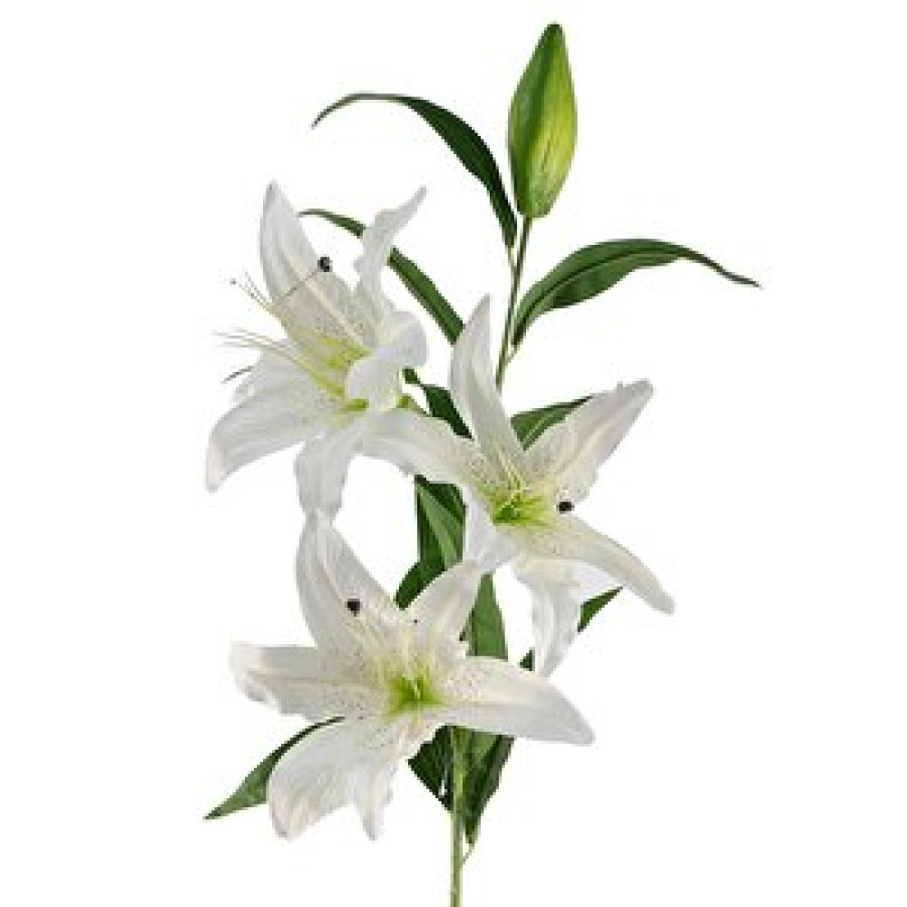 Nettenevime Yapay Çiçek Beyaz Lilyum 3 Kafalı Uzun Dal Çiçek Zambak Lily Flowers 80cm Obje Fiyatı