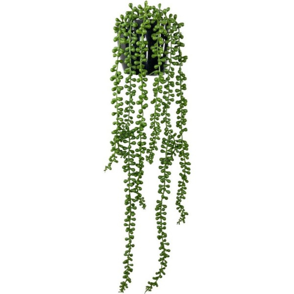 Nettenevime Yapay Çiçek Saksıda Sarkan String 6 Dallı 55CM Sarkan Çiçek - Açık Yeşil Ev & Dekorasyon Aksesuarları Fiyatı