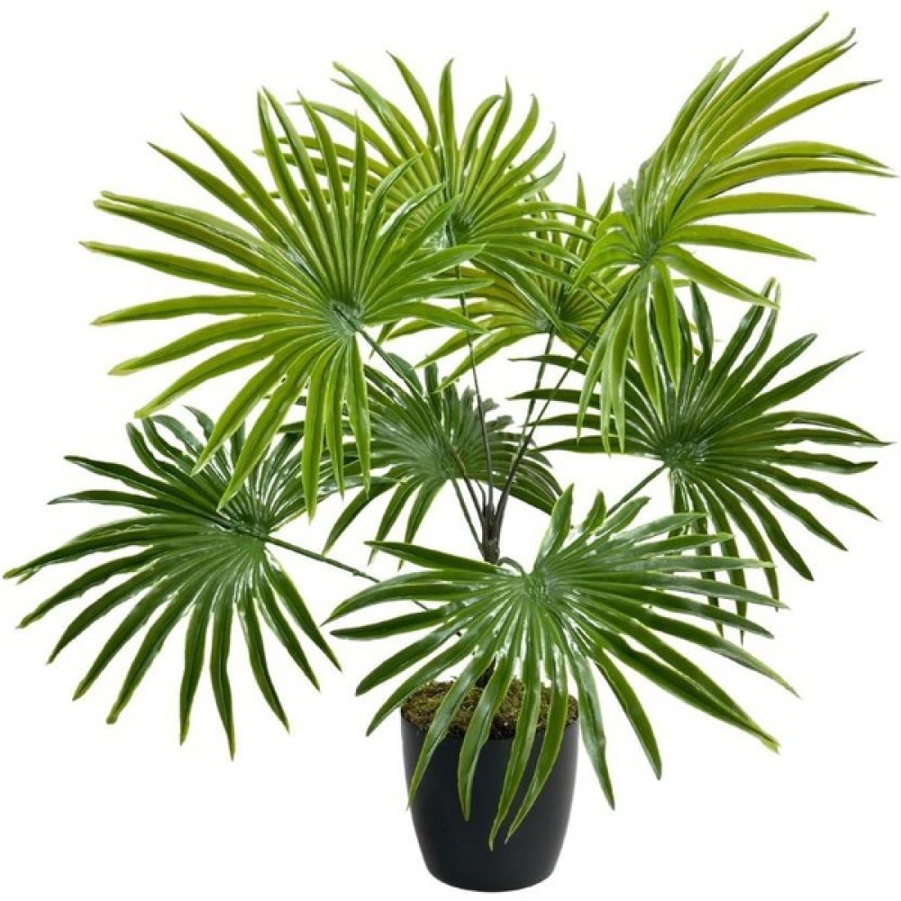Nettenevime Yapay Çiçek Yelpaze Palmiye 8 Dal 50*40CM Salon Çiçeği Plastik Siyah Saksılı Yapay Bitki - Açık Yeşil Ev & Dekorasyon Aksesuarları Fiyatı