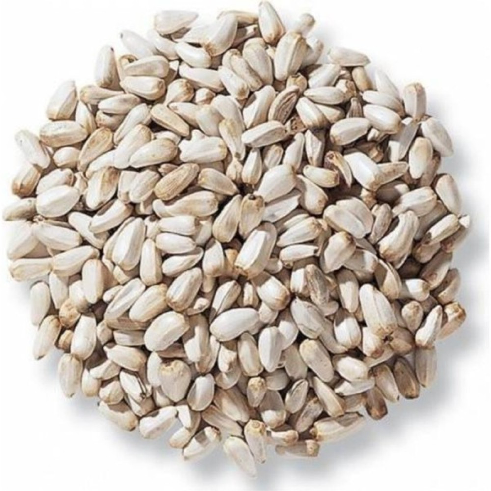 New Food Hanımeli Pet Store Aspir Çekirdeği, Ufak Çekirdek (Saka,paraket,papağan) 1kg Evcil Hayvan Ürünleri Fiyatı