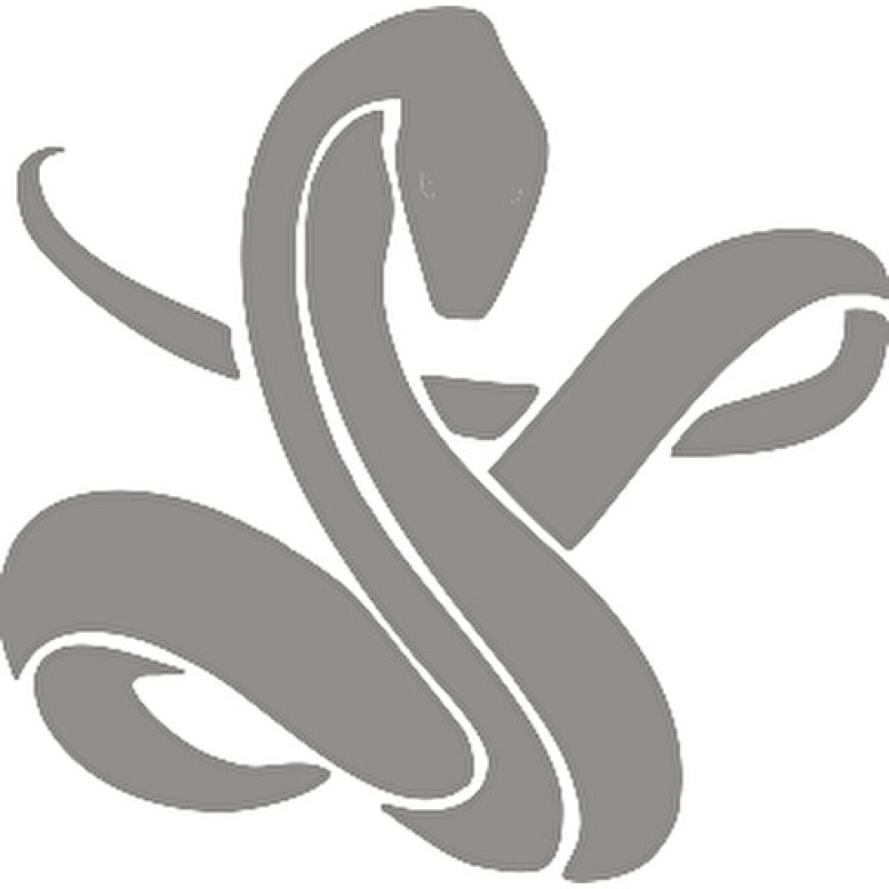 New Jargon Snake Kobra Yılanı Sticker Yapıştırma Gri - 15 cm Duvar Stickerı Fiyatı