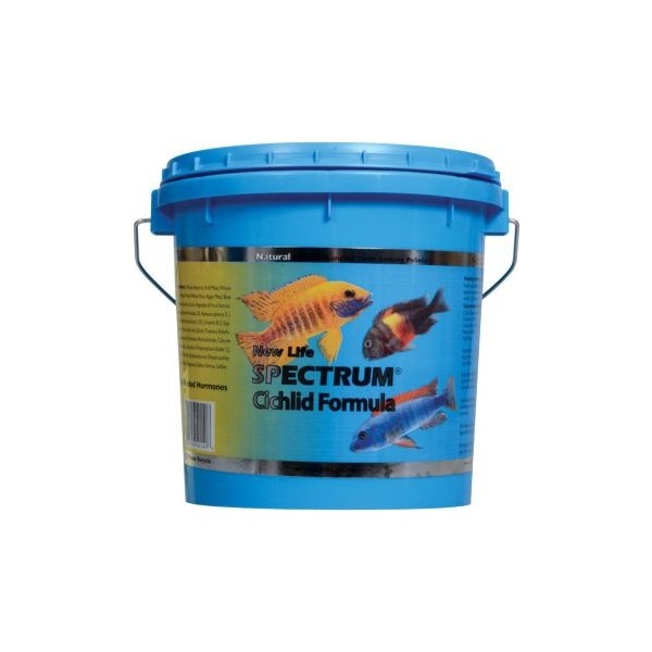 New Life Spectrum Cichlid Formula 50Gr (Açık) Evcil Hayvan Ürünleri Fiyatı