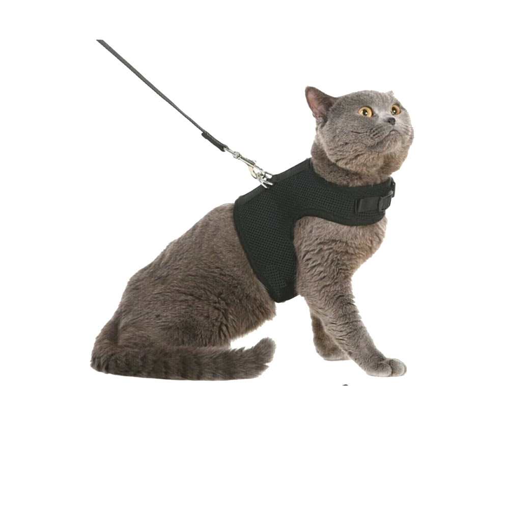 NiCe Shop Kaçış Önleyici Nefes Alabilen Yüzey Kedi Gezdirme Göğüs Tasma Seti Siyah Medium Beden Evcil Hayvan Ürünleri Fiyatı