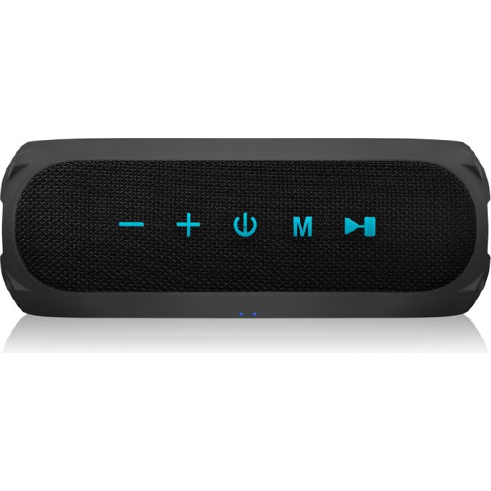 Niceboy Raze Radion 4 30W Kablosuz Bluetooth 5.0 IP67 Radyolu Hoparlör Bluetooth Hoparlör Fiyatı