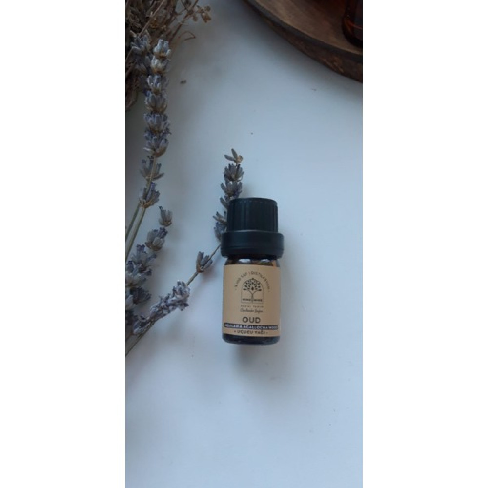 Nine&mine Doğal Yaşam %100 Saf ve Doğal Oud (Ud) Uçucu Yağı (Aquilaria Agallocha Wood Oil) - 5 ml Oto Boyaları Fiyatı