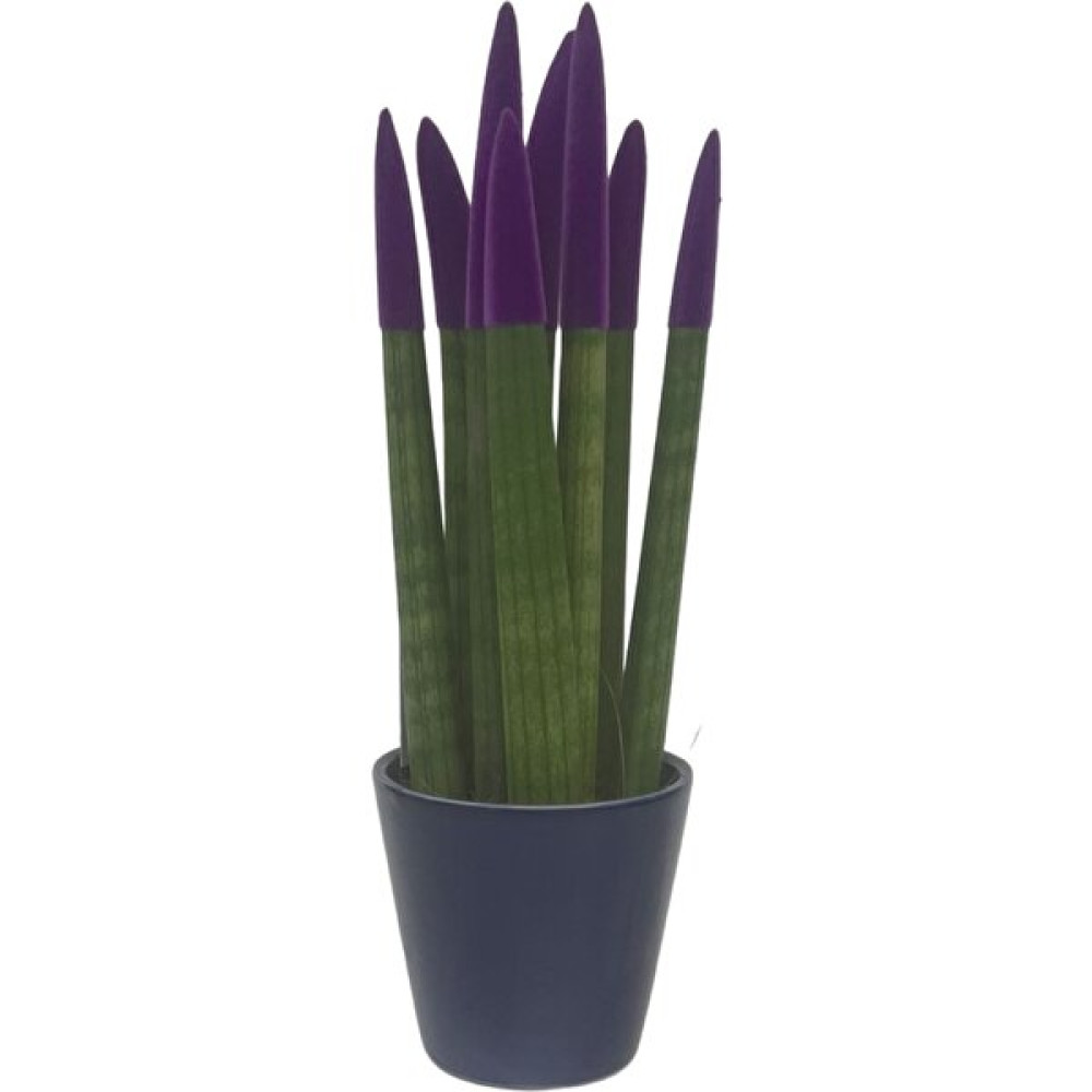 Nisa Floral Ithal Sanseveria Canlı Bitki/mor Bitki Fiyatı