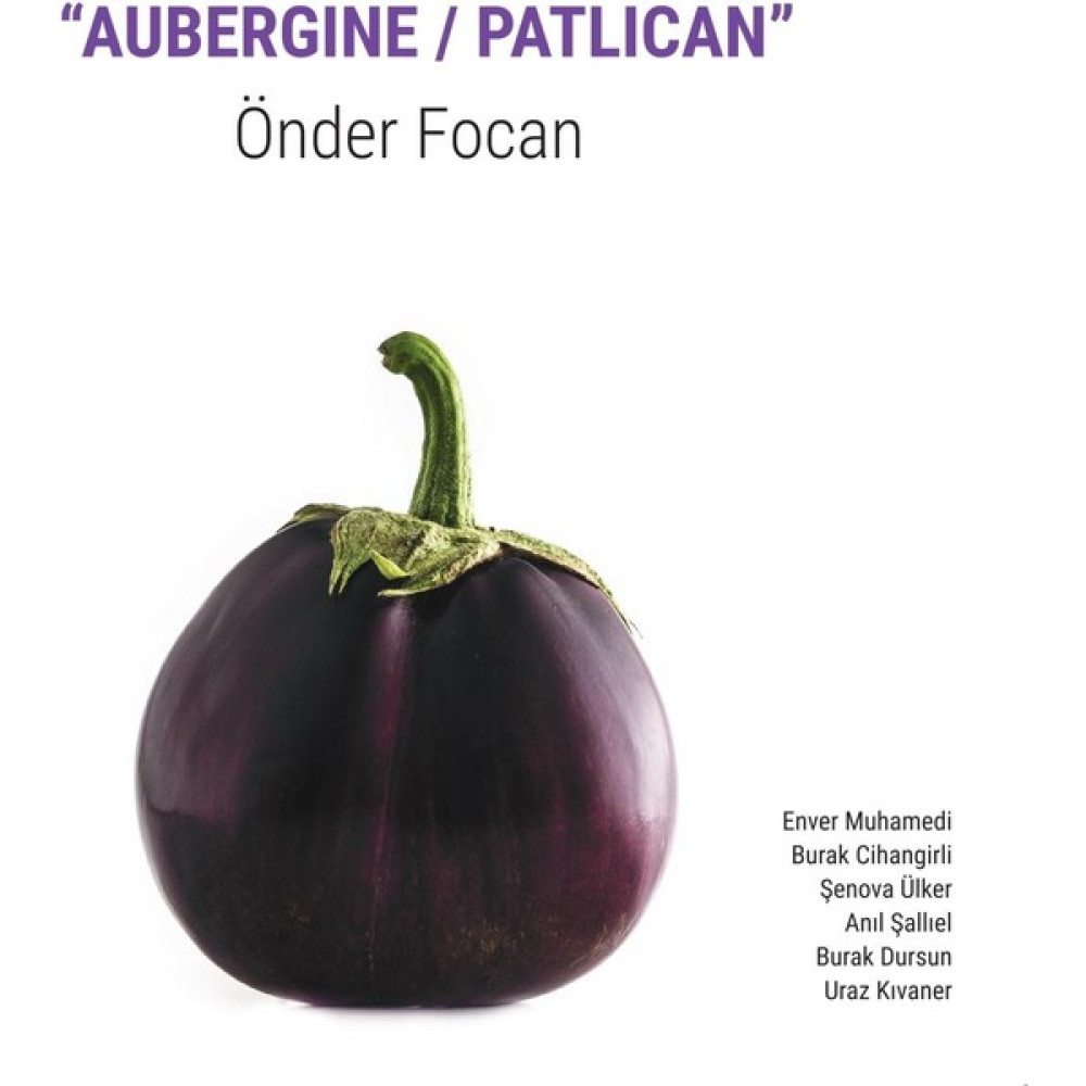 No Label Önder Foçan- Aubergine / Patlıcan (Enstrümantal ) - Plak Pikap & Aksesuarları Fiyatı