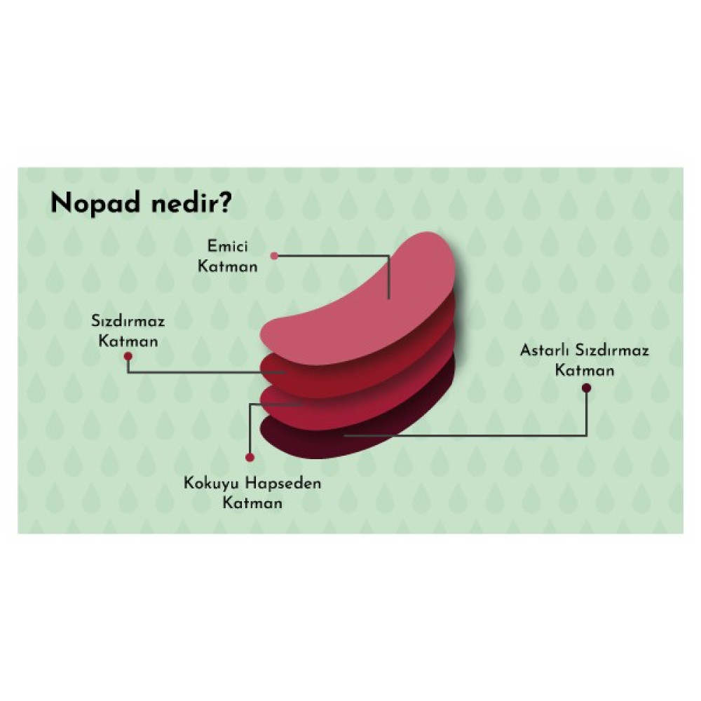 Nopad Klasik Bordo Yıkanabilir Regl Külodu - L Oto Boyaları Fiyatı