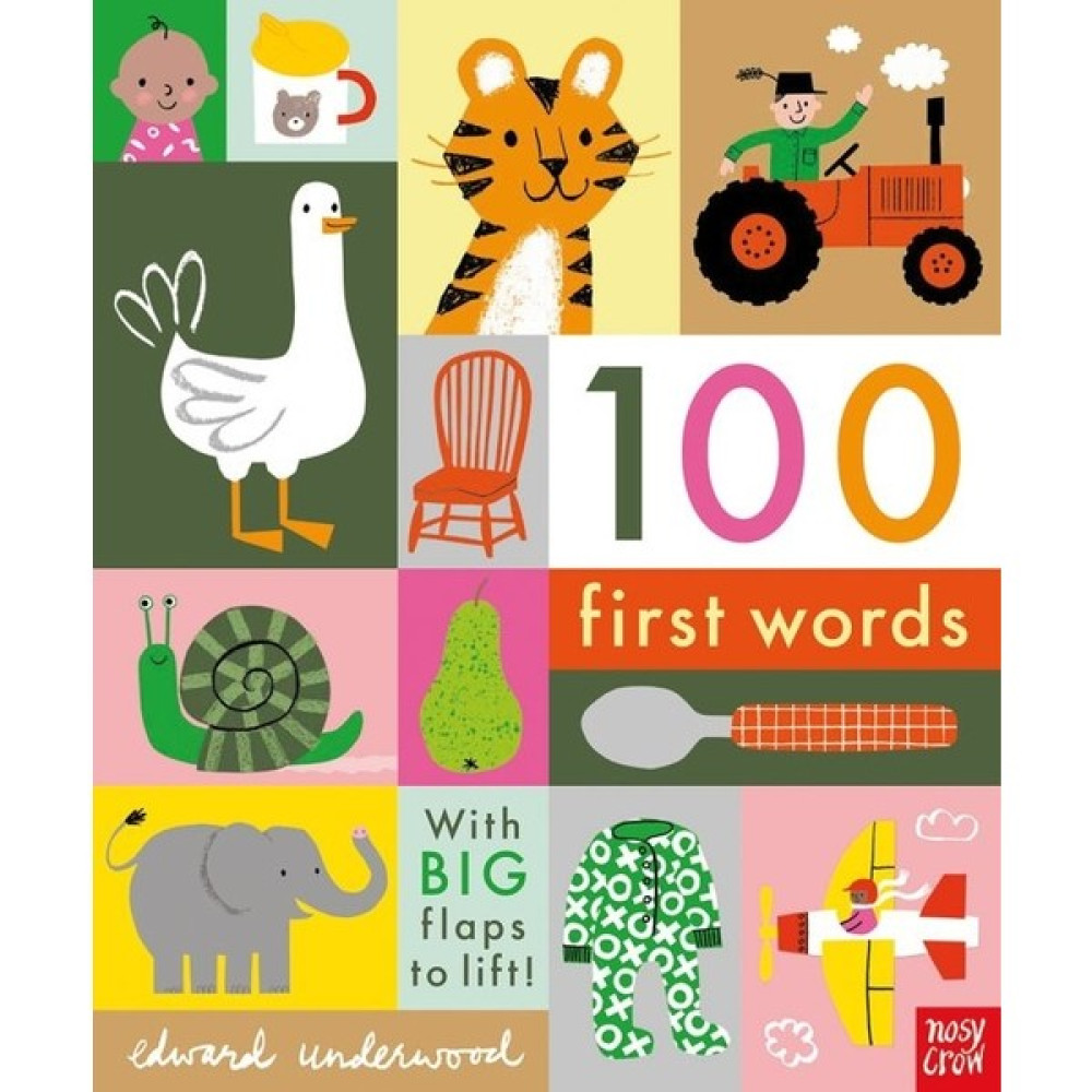 Nosy Crow 100 First Words Çocuk Masal Fiyatı