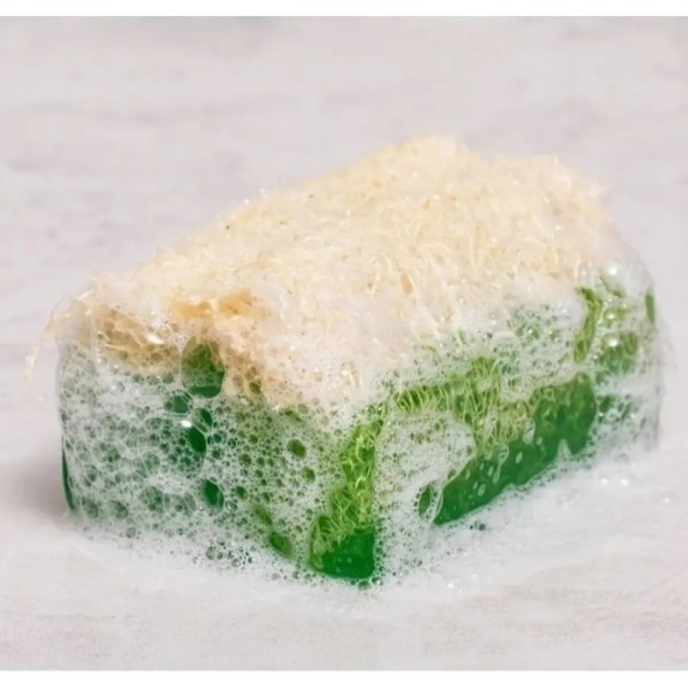 Notion Kabak Lifli Aloe Vera Sabun 125 gr Sabunlar Fiyatı