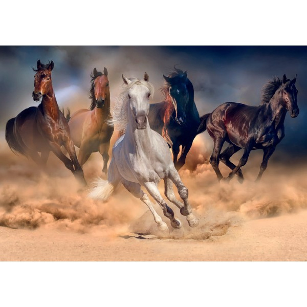 Nova Puzzle 2000 Parça Toz Duman Koşan Atlar Puzzle - 46002 Puzzle & Aksesuarları Fiyatı