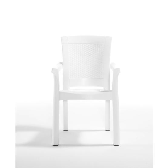 Novussi Rattan Roma Koltuk