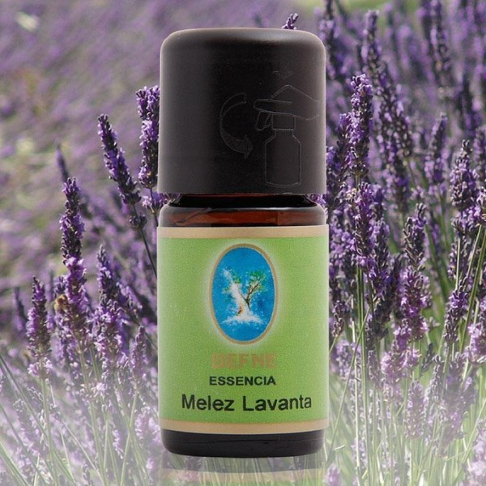 Nuka Defne Essencia Geleneksel Melez Lavanta 5 ml Uçucu Yağ Aromaterapi Cilt ve Bakım Yağı 5ml Oto Boyaları Fiyatı