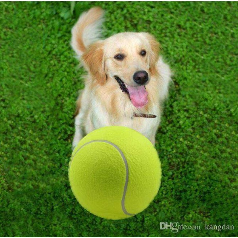 Nunbell Tenis Topu Köpek Oyuncağı 1 Adet Oto Boyaları Fiyatı